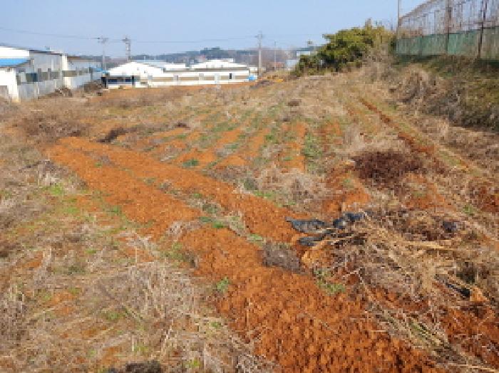 충남 당진시 석문면 대지 경매 물건 사진 3 · 2025타경579