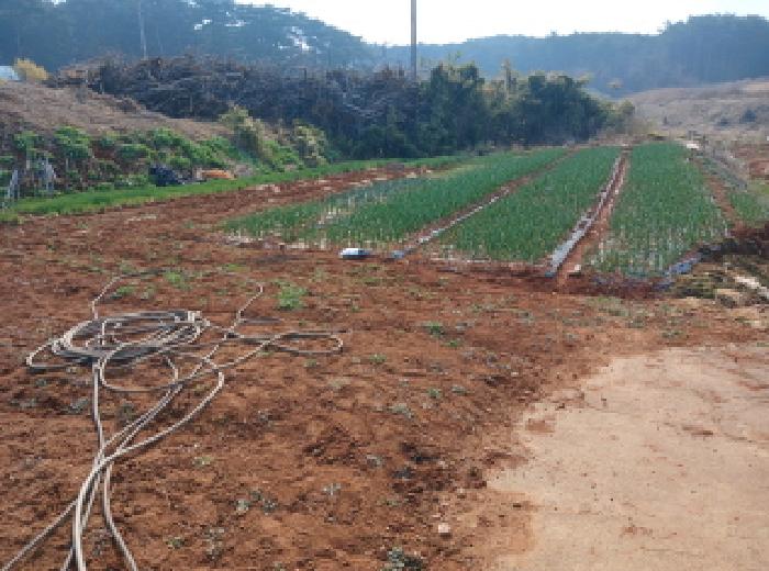 충남 당진시 석문면 대지 경매 물건 사진 5 · 2025타경579