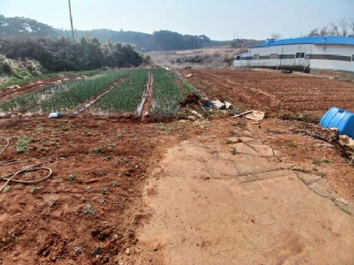 충남 당진시 석문면 대지 경매 물건 사진 6 · 2025타경579