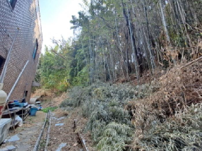 충남 당진시 읍내동 잡종지 경매 물건 사진 2 · 2025타경581