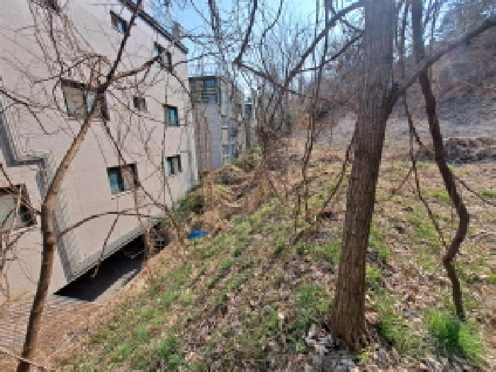 충남 당진시 읍내동 잡종지 경매 물건 사진 3 · 2025타경581