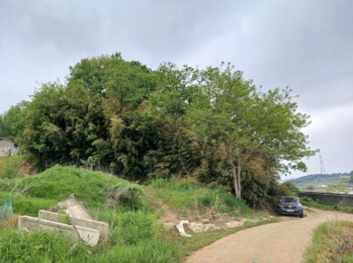 충남 당진시 석문면 임야 경매 물건 사진 2 · 2025타경584