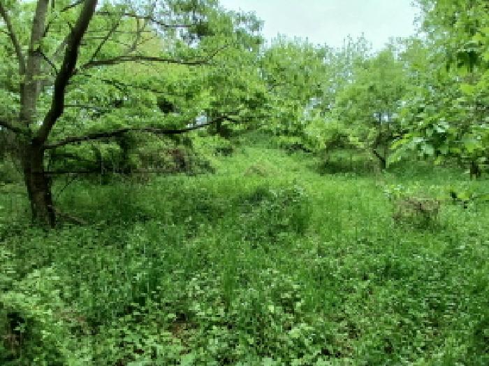 충남 당진시 석문면 임야 경매 물건 사진 5 · 2025타경584