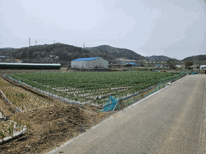 충남 서산시 성연면 전답 경매 물건 사진 6 · 2025타경605
