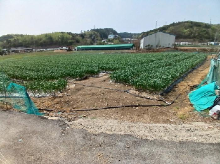 충남 서산시 성연면 전답 경매 물건 사진 2 · 2025타경605