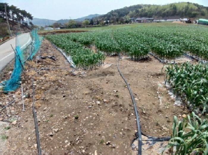 충남 서산시 성연면 전답 경매 물건 사진 3 · 2025타경605