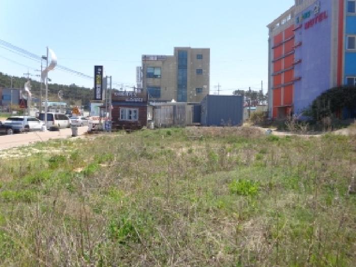 충남 태안군 소원면 대지 경매 물건 사진 2 · 2025타경606