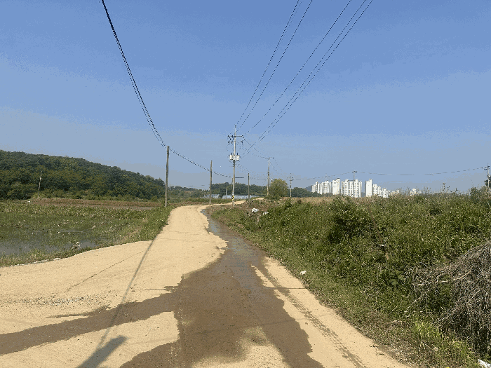 충남 당진시 송악읍 전답 경매 물건 사진 6 · 2025타경612