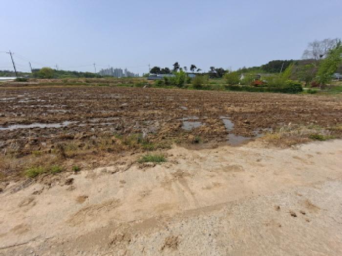 충남 당진시 송악읍 전답 경매 물건 사진