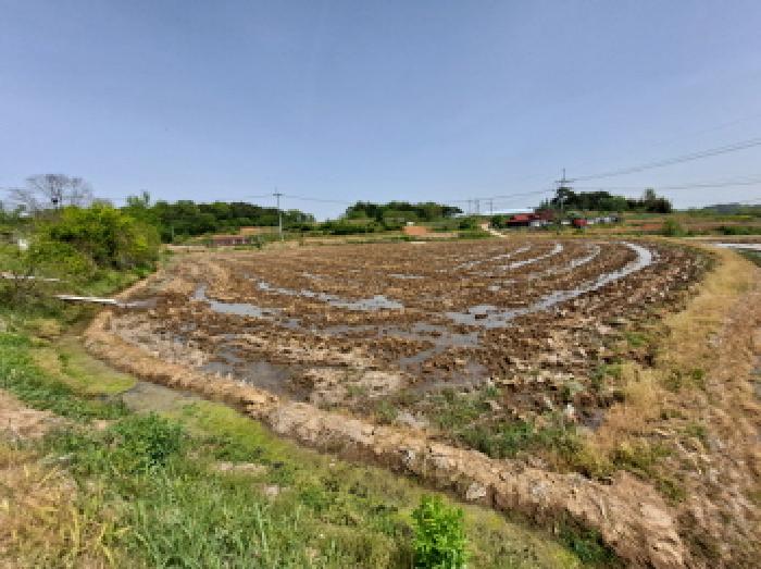충남 당진시 송악읍 전답 경매 물건 사진 3 · 2025타경612