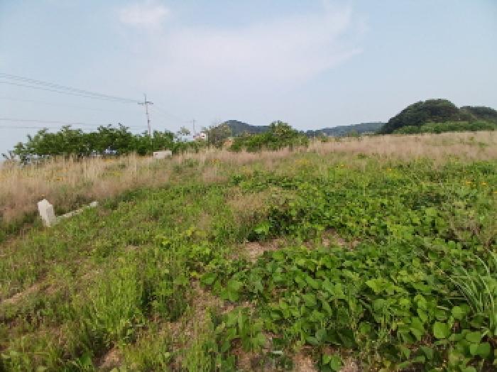 충남 당진시 석문면 잡종지 경매 물건 사진 3 · 2025타경620