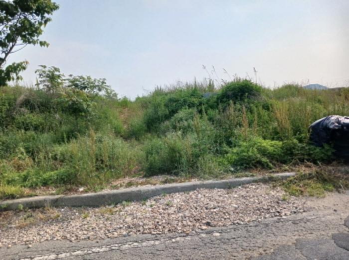 충남 당진시 석문면 잡종지 경매 물건 사진 4 · 2025타경620