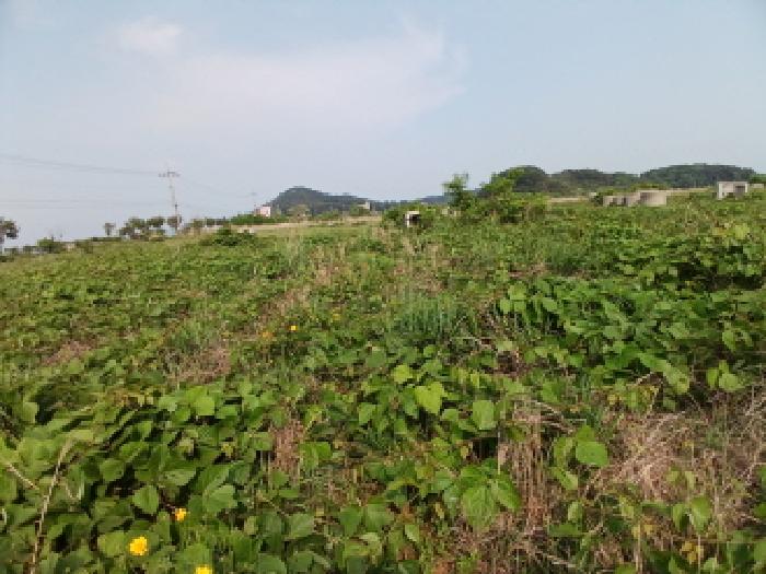 충남 당진시 석문면 잡종지 경매 물건 사진 5 · 2025타경620