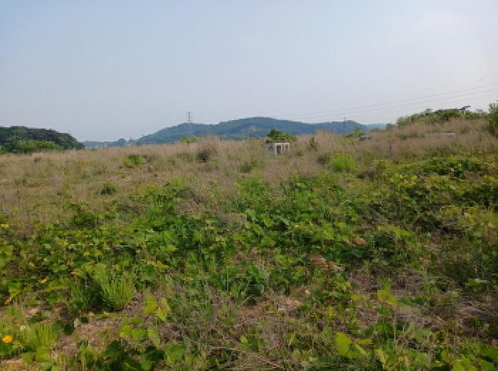 충남 당진시 석문면 잡종지 경매 물건 사진 6 · 2025타경620