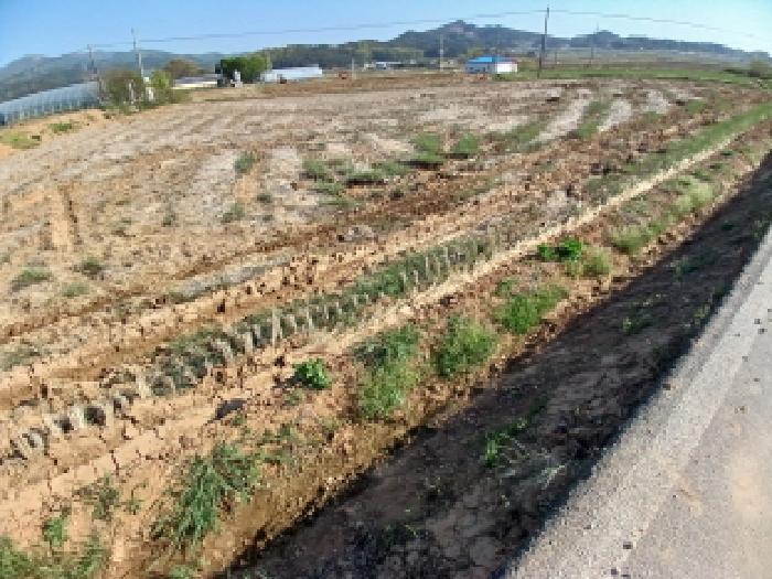 충남 서산시 해미면 전답 경매 물건 사진 3 · 2025타경624