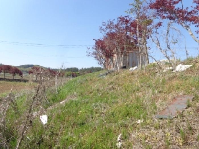 충남 서산시 부석면 대지,임야,전답 경매 물건 사진 6 · 2025타경625
