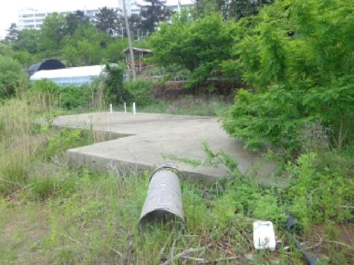 충남 태안군 태안읍 전 경매 물건 사진