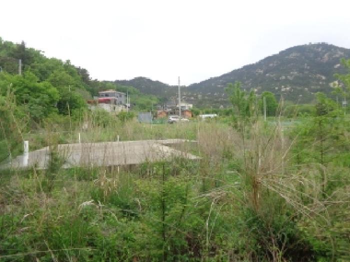 충남 태안군 태안읍 전 경매 물건 사진 5 · 2025타경628