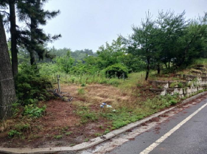 충남 서산시 해미면 임야 경매 물건 사진 2 · 2025타경630