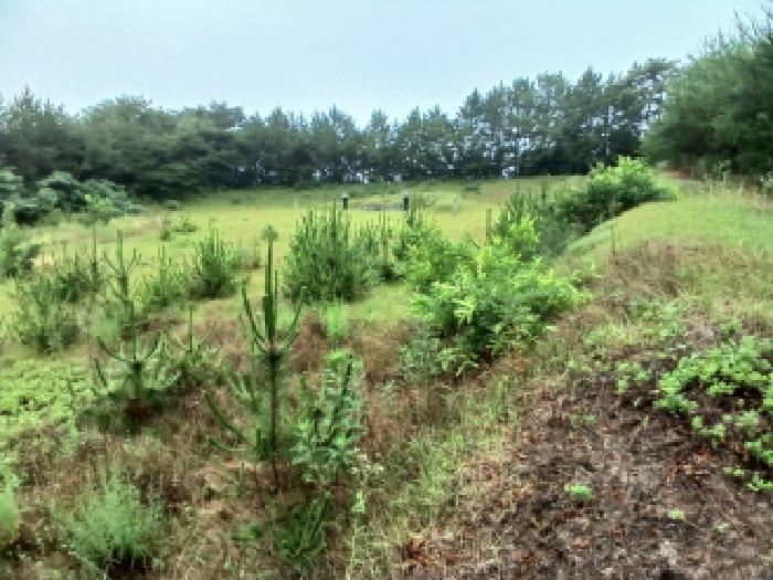 충남 서산시 해미면 임야 경매 물건 사진 5 · 2025타경630