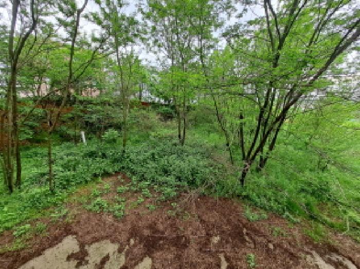 충남 당진시 송산면 임야 경매 물건 사진 2 · 2025타경644