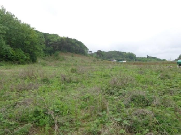 충남 서산시 팔봉면 전답 경매 물건 사진 3 · 2025타경646