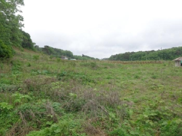 충남 서산시 팔봉면 전답 경매 물건 사진 4 · 2025타경646