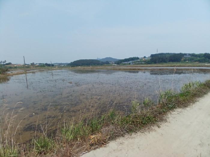충남 서산시 지곡면 답 경매 물건 사진