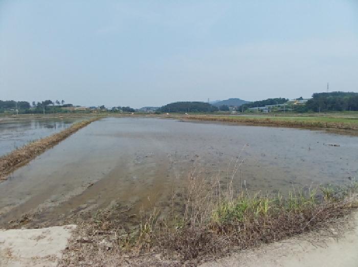 충남 서산시 지곡면 답 경매 물건 사진 2 · 2025타경650