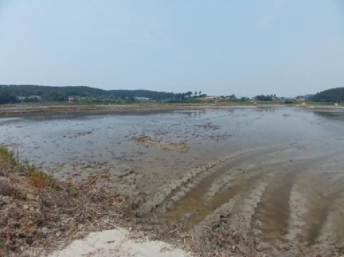 충남 서산시 지곡면 답 경매 물건 사진 3 · 2025타경650