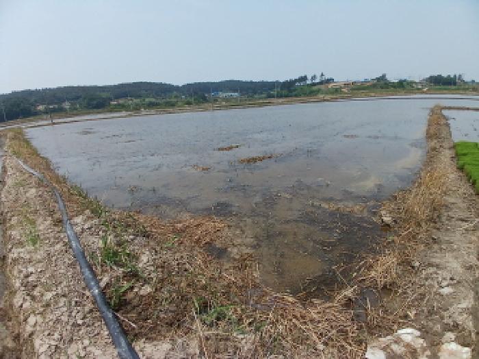 충남 서산시 지곡면 답 경매 물건 사진 5 · 2025타경650