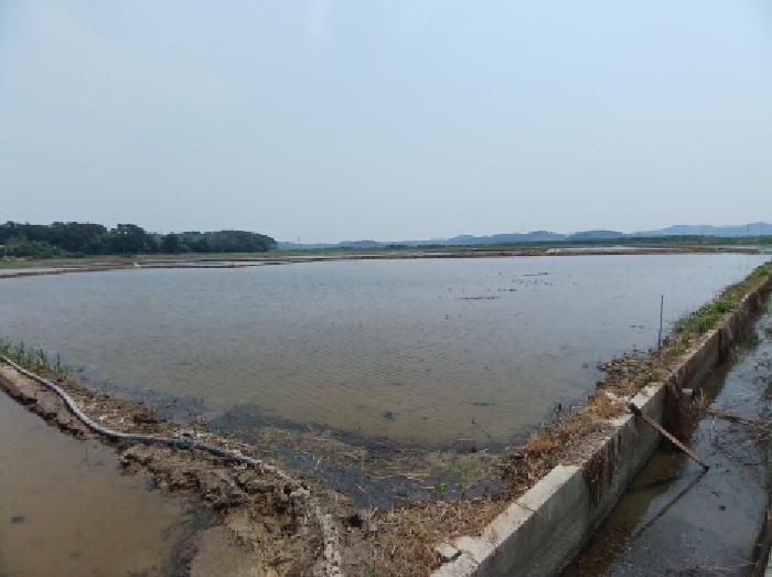 충남 서산시 지곡면 답 경매 물건 사진 6 · 2025타경650
