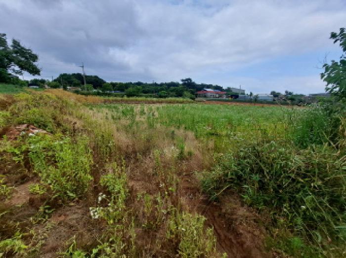 충남 당진시 신평면 전 경매 물건 사진 2 · 2025타경657