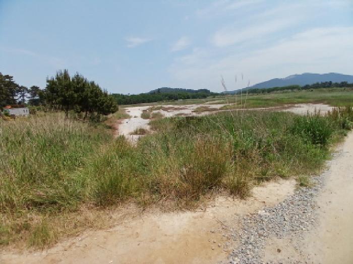 충남 서산시 대산읍 염전 경매 물건 사진 6 · 2025타경665
