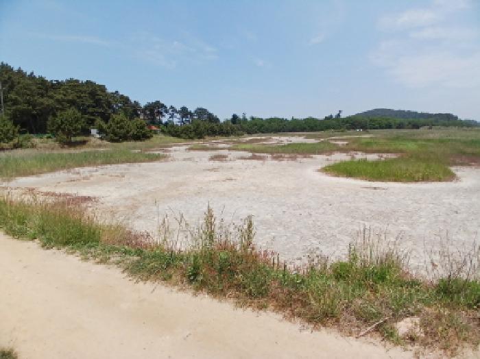 충남 서산시 대산읍 염전 경매 물건 사진