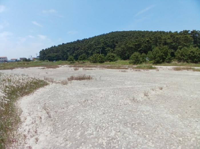 충남 서산시 대산읍 염전 경매 물건 사진 2 · 2025타경665