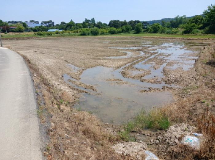 충남 서산시 수석동 전답 경매 물건 사진 2 · 2025타경666
