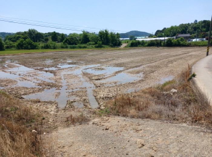충남 서산시 수석동 전답 경매 물건 사진 3 · 2025타경666