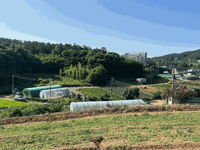 충청남도 서산시 대산읍 대로리 230-2 임야 경매 물건 사진