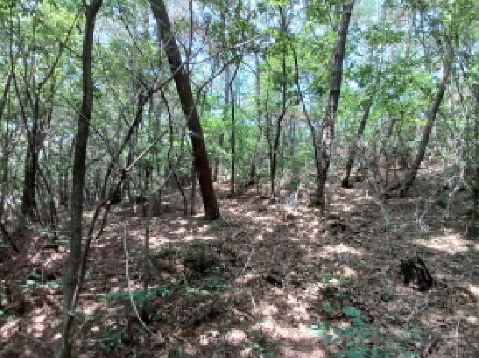 충남 서산시 대산읍 임야 경매 물건 사진 3 · 2025타경667