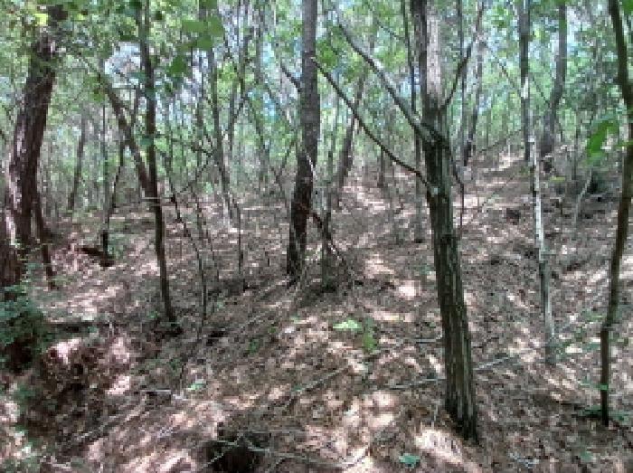 충남 서산시 대산읍 임야 경매 물건 사진 4 · 2025타경667
