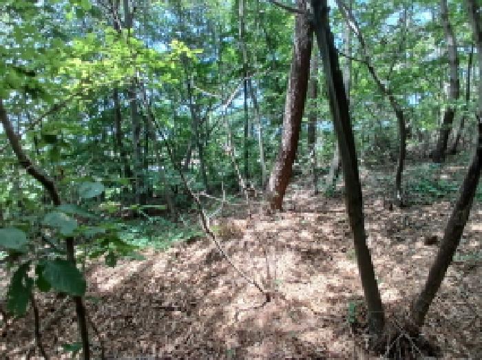 충남 서산시 대산읍 임야 경매 물건 사진 6 · 2025타경667