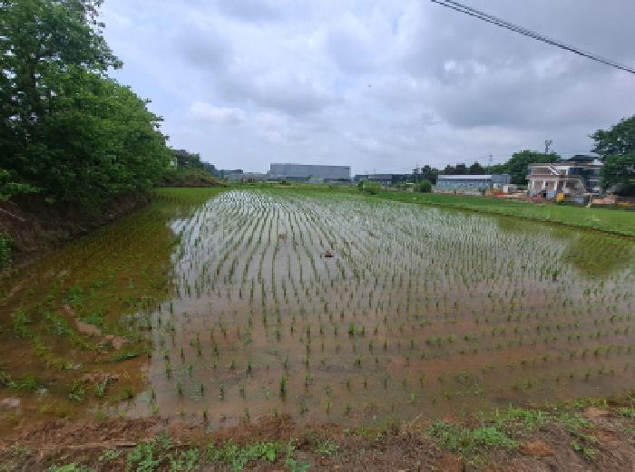 충남 당진시 송악읍 전답 경매 물건 사진 4 · 2025타경678