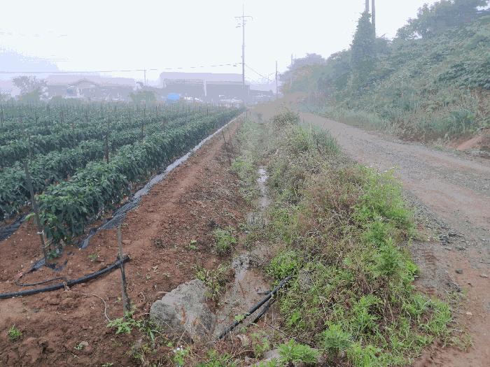 충청남도 태안군 고남면 고남리 1179 대지,임야,전답 경매 물건 사진