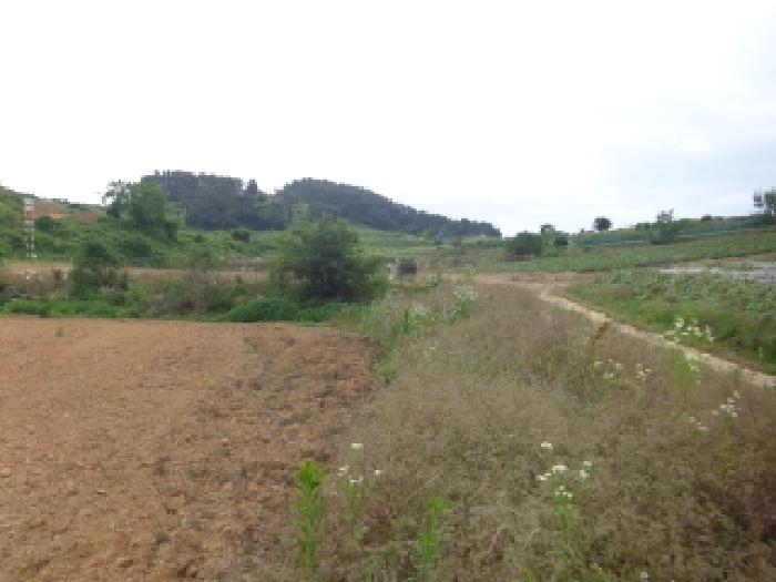 충남 태안군 고남면 대지,임야,전답 경매 물건 사진 4 · 2025타경682