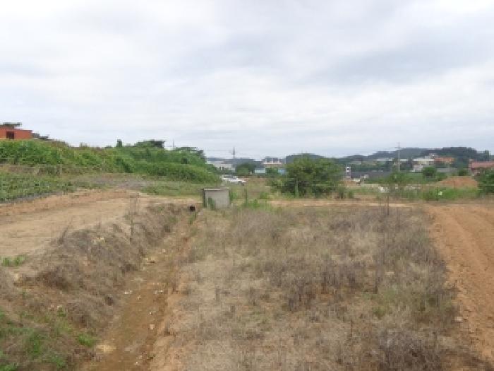 충남 태안군 고남면 대지,임야,전답 경매 물건 사진 5 · 2025타경682