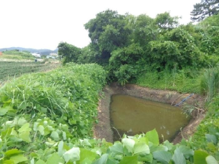 충남 태안군 고남면 대지,임야,전답 경매 물건 사진 6 · 2025타경682