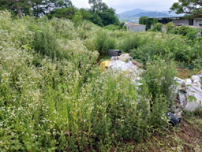 충남 서산시 죽성동 단독주택 경매 물건 사진