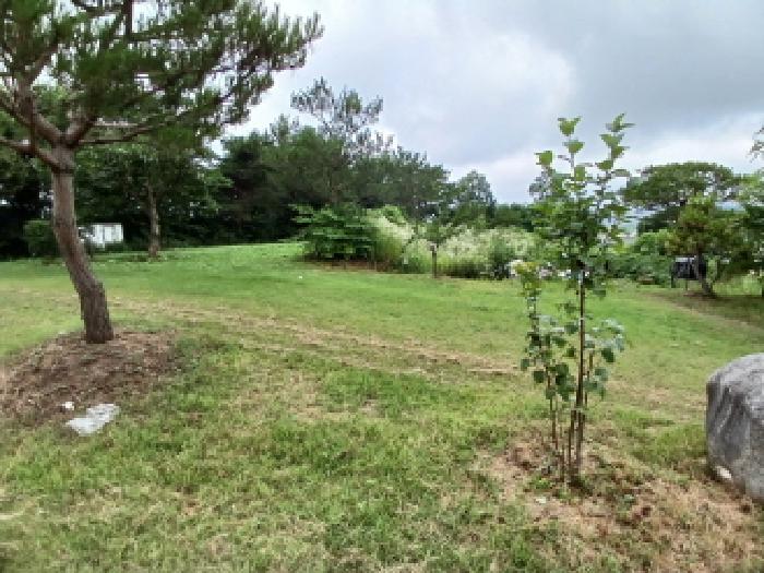 충남 서산시 죽성동 단독주택 경매 물건 사진 3 · 2025타경686