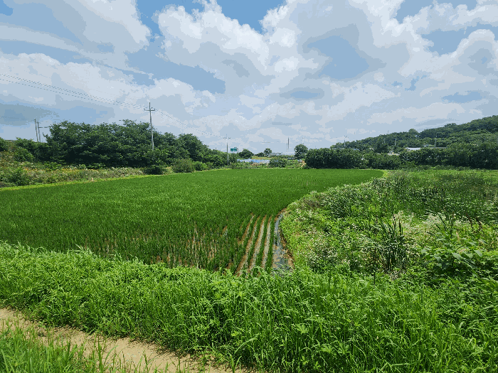 충남 당진시 석문면 답 경매 물건 사진 6 · 2025타경704